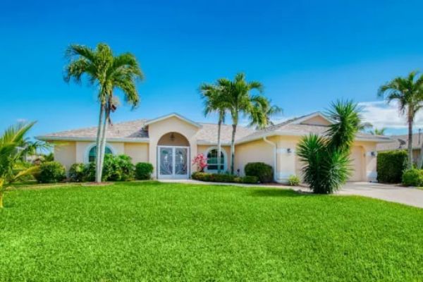 Paradise Palms